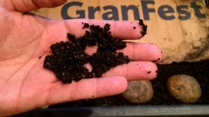 Борьба с Вредителями в Червячнике Народными Средствами