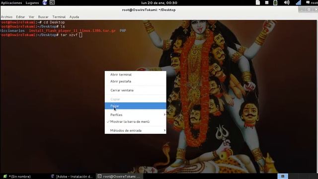 Instalación Adobe Flash Player смотреть онлайн