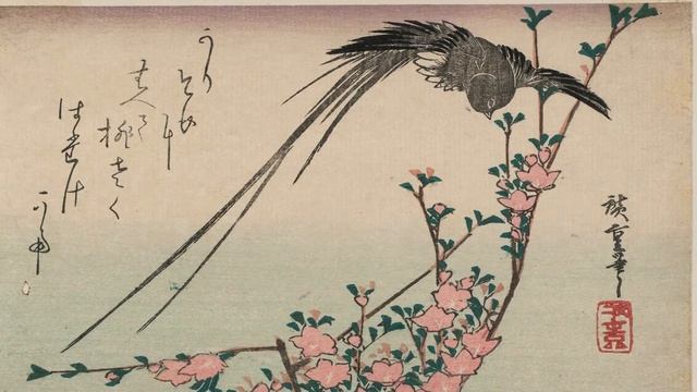 Пробуждение Осознание пустоты №8 смотреть онлайн