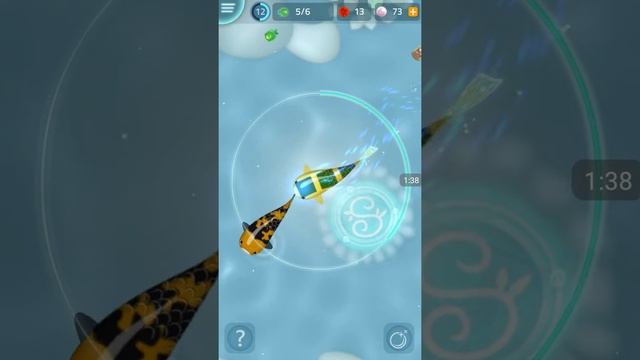 Let's play short Zen koi смотреть онлайн