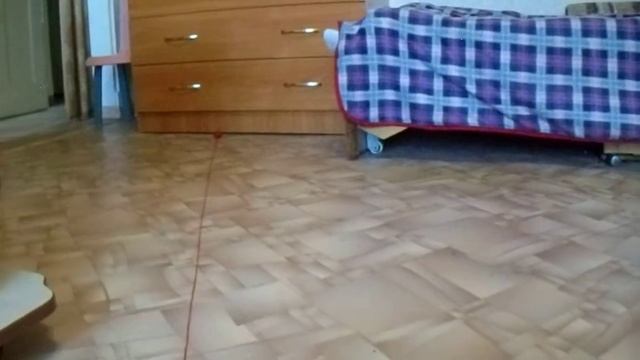 Умный кот Кузя принес колобок смотреть онлайн