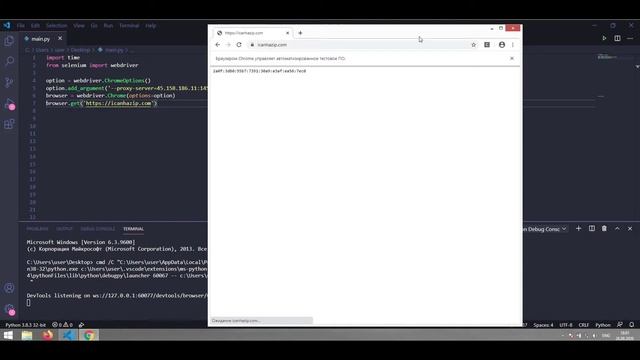 Selenium Python - #4 Работа с прокси смотреть онлайн
