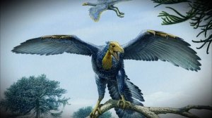 Прародитель птиц? Археоптерикс. Archaeopteryx
