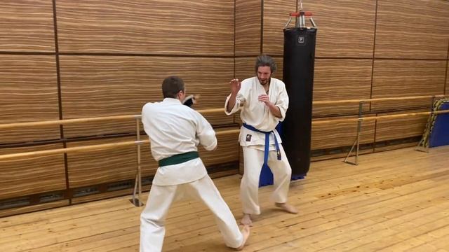 Спарринг только руками Танганхо (бой вполсилы) Окинава каратэ. Роман Грузинов. #Женя #Федор смотреть онлайн