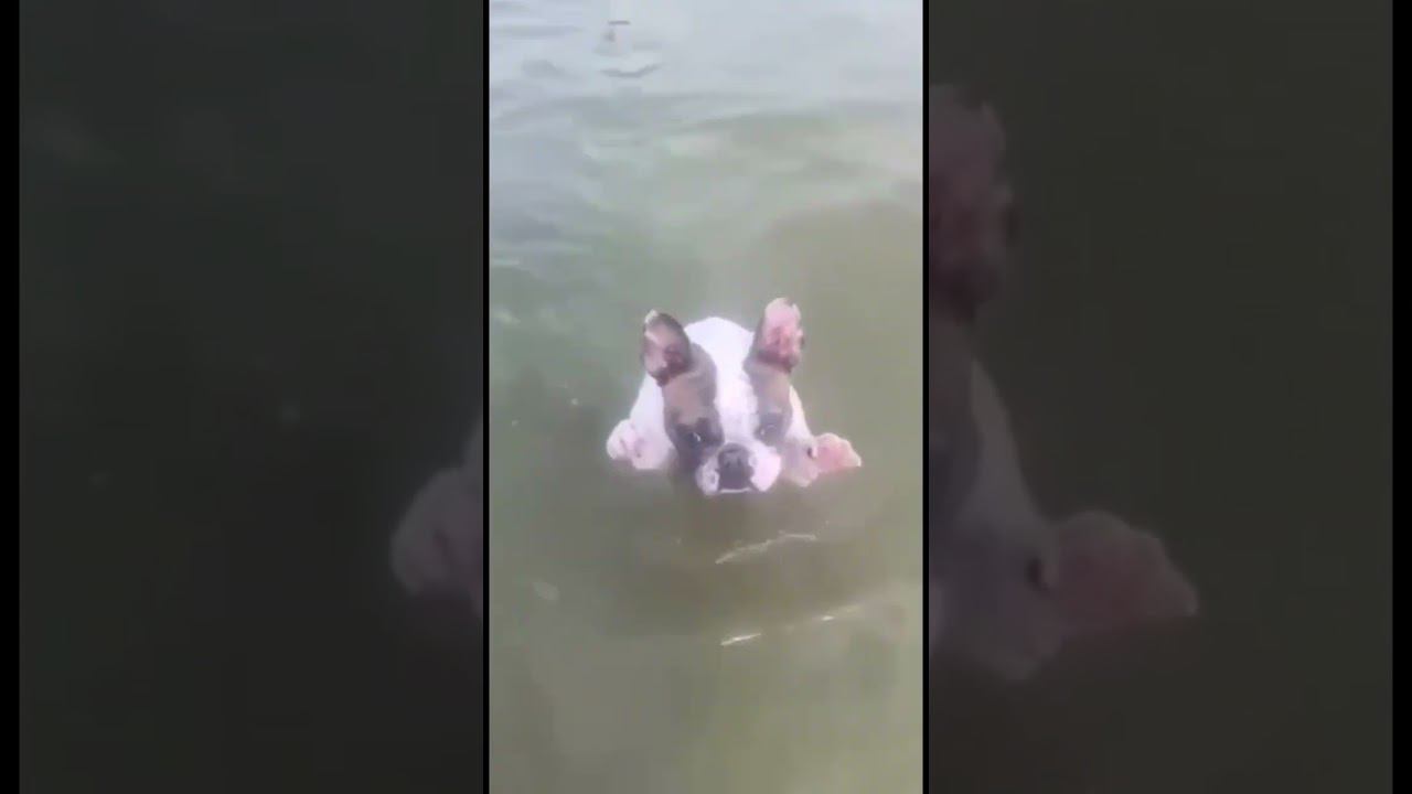 Ой мамочки, холод собачий смотреть онлайн