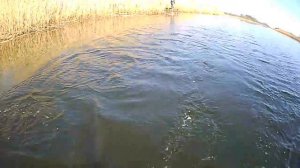 Лучшие приманки на раков! Как поставить раколовку гармошку с лодки! Обзор китайской раколовки!