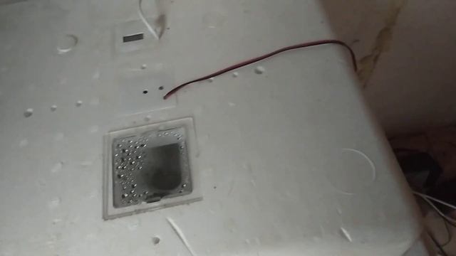 Инкубационный период индюшиных яиц! смотреть онлайн