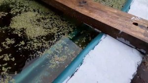 Жидкая резина для уличного бетона.