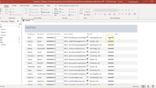 MS Access - Reports Part 1: Basic Reports