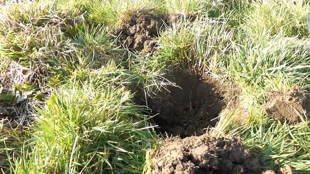 WOW! Medieval Finds - Metal Detecting in South Gloucestershire смотреть онлайн