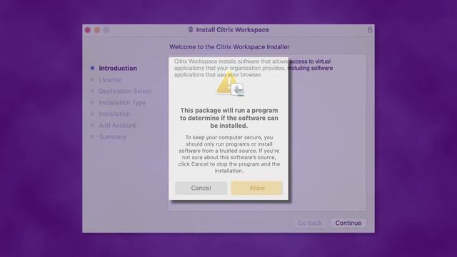 Installing and Accessing Citrix Workspace смотреть онлайн
