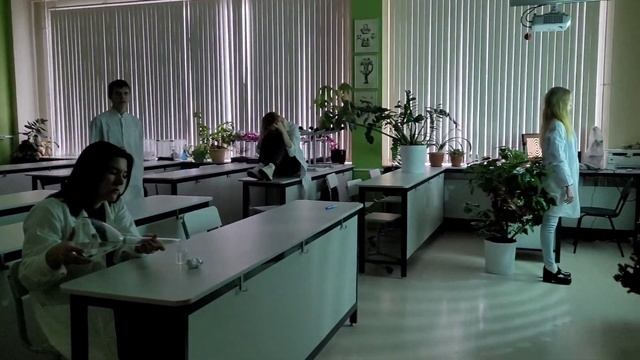 Новогодние приключения класса 11 Vita смотреть онлайн