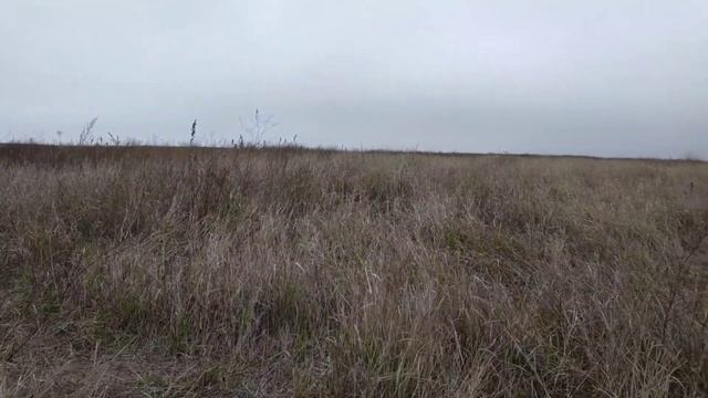ПОИСК МОНЕТ НА ДРЕВНЕ-СТАРИННОМ ПОСЕЛЕНИИ. КОП 2021. НАХОДКИ С ФОРТУНА ПРО 2. смотреть онлайн