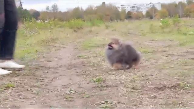 4 октября 2023 г.