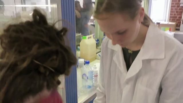 Документация "Plant Perseption" + визуализация "Plents Intelligence". смотреть онлайн