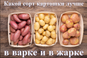 Какой сорт картошки лучше для жарки и варки.