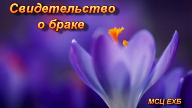 "Свидетельство о браке". П. Карпов. МСЦ ЕХБ. смотреть онлайн