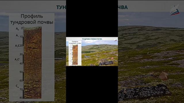 Оболочка земли смотреть онлайн