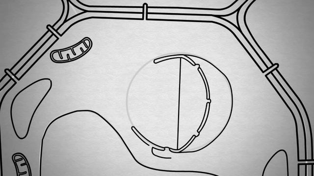 How to draw #plant cell in easy steps :fundamental unit of life: ncert class 9 biology :CBSE Scienc смотреть онлайн
