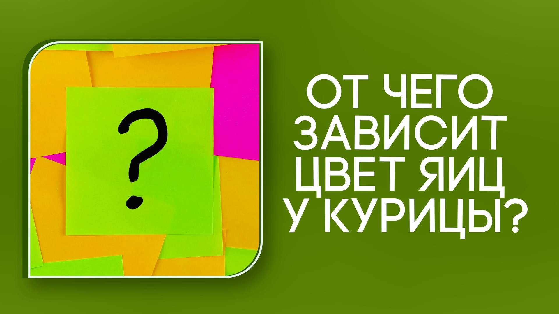 Опрос жителей о сельском хозяйстве смотреть онлайн