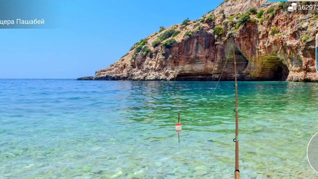 как и где ловить#луфарь#MyFishingWorld