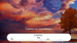羣星 - Симпа (Remix)『Она его половина』【動態歌詞Lyrics】