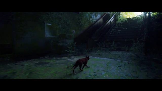 Концовка игры Stray смотреть онлайн