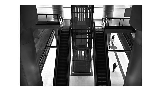 Nikon ZF Review | Retro Design With Great Performance