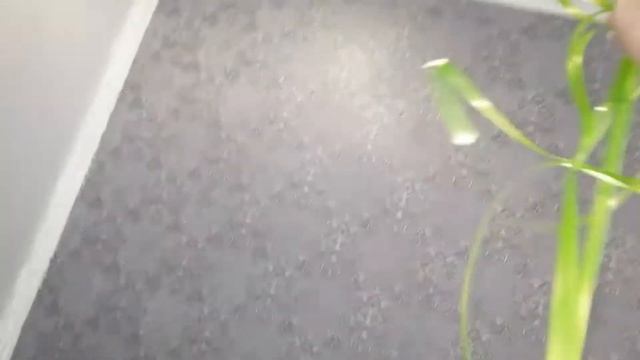 День рождения Игоря/5 лет/распаковка подарком смотреть онлайн