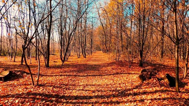 Послушайте 20 минут и сразу уснете) смотреть онлайн