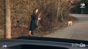 Дилан Баран "Кровавые цветы"/ Baran Dilan "Kan Çiçekleri"/ " По полюшку"