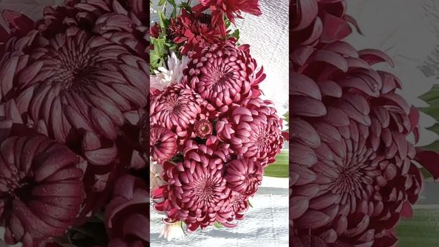 Букеты из хризантем, цветы в букетах. #chrysanthemumflower #хризантема смотреть онлайн