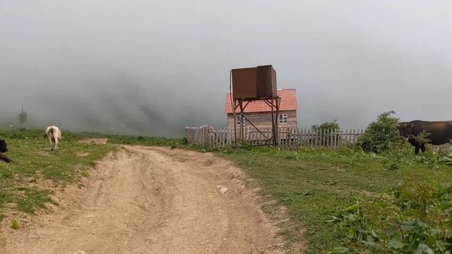 Лавины больше нет. Июнь. Гизла. SRS 93 смотреть онлайн
