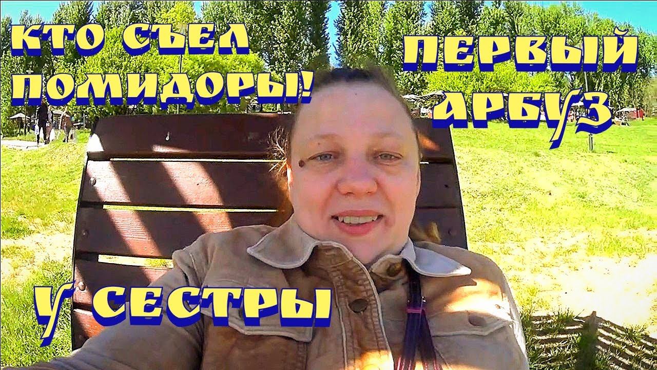 Цены на продукты в России 2022 / Покупки / Прогулка по Москве / Борисовские пруды смотреть онлайн