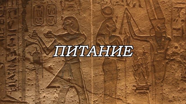 НЕДОРОГОЙ отель с ШИКАРНЫМ пляжем в Хургаде - Palm Beach Resort