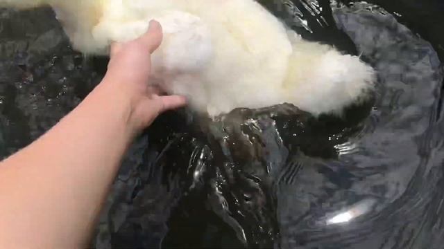 Прическа панка) смотреть онлайн