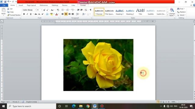 Class 5, Inserting Clip Art, Pictures & WordArt in MS Word. смотреть онлайн