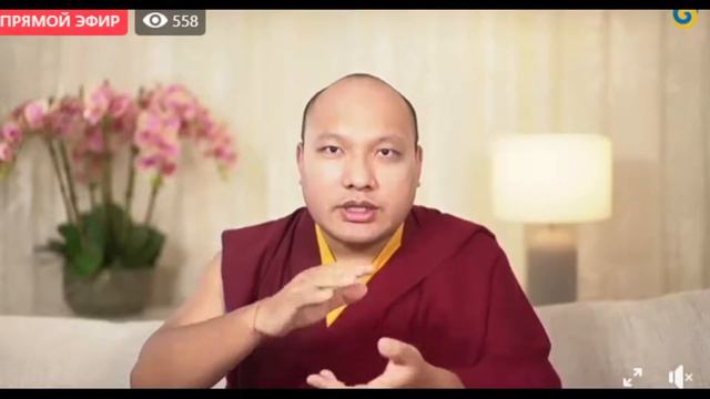 Кармапа -Весенние учения по текстам Восьмого Кармапы. День 2а. смотреть онлайн