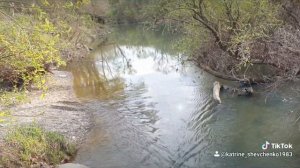 ТЕЧЁТ РУЧЕЙ, БЕЖИТ РУЧЕЙ, И Я НЕ ЧЬЯ, И ТЫ НЕ ЧЕЙ!?!