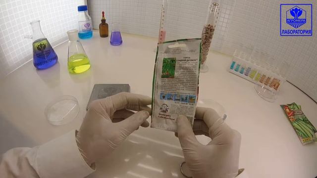 Горох Сахарный Дружок. СеДеК смотреть онлайн