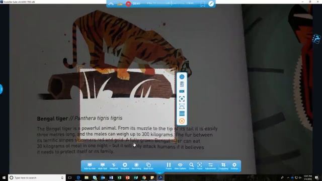 Flex 11 Cropping and OCR Text Recognition смотреть онлайн