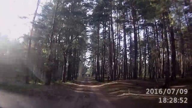 Советск санаторский лес июль 2016 смотреть онлайн