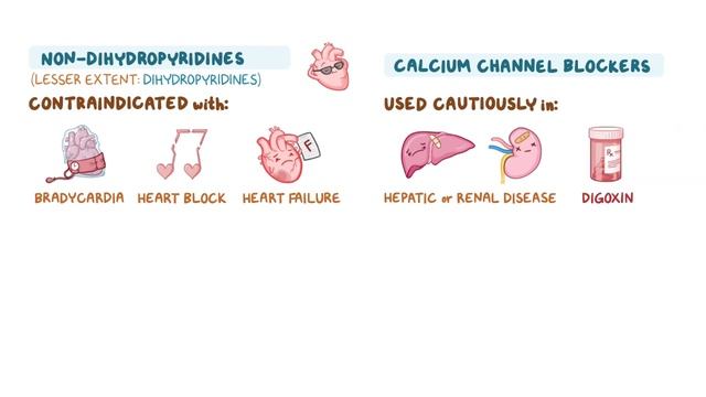 Calcium channel blockers_ Nursing Pharmacology.mp4 смотреть онлайн