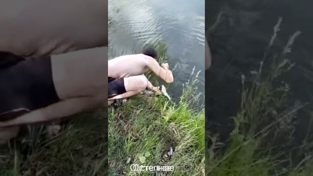 Новосибирская обл. Ордынский район ПРУД СТЕПНОЙ. смотреть онлайн