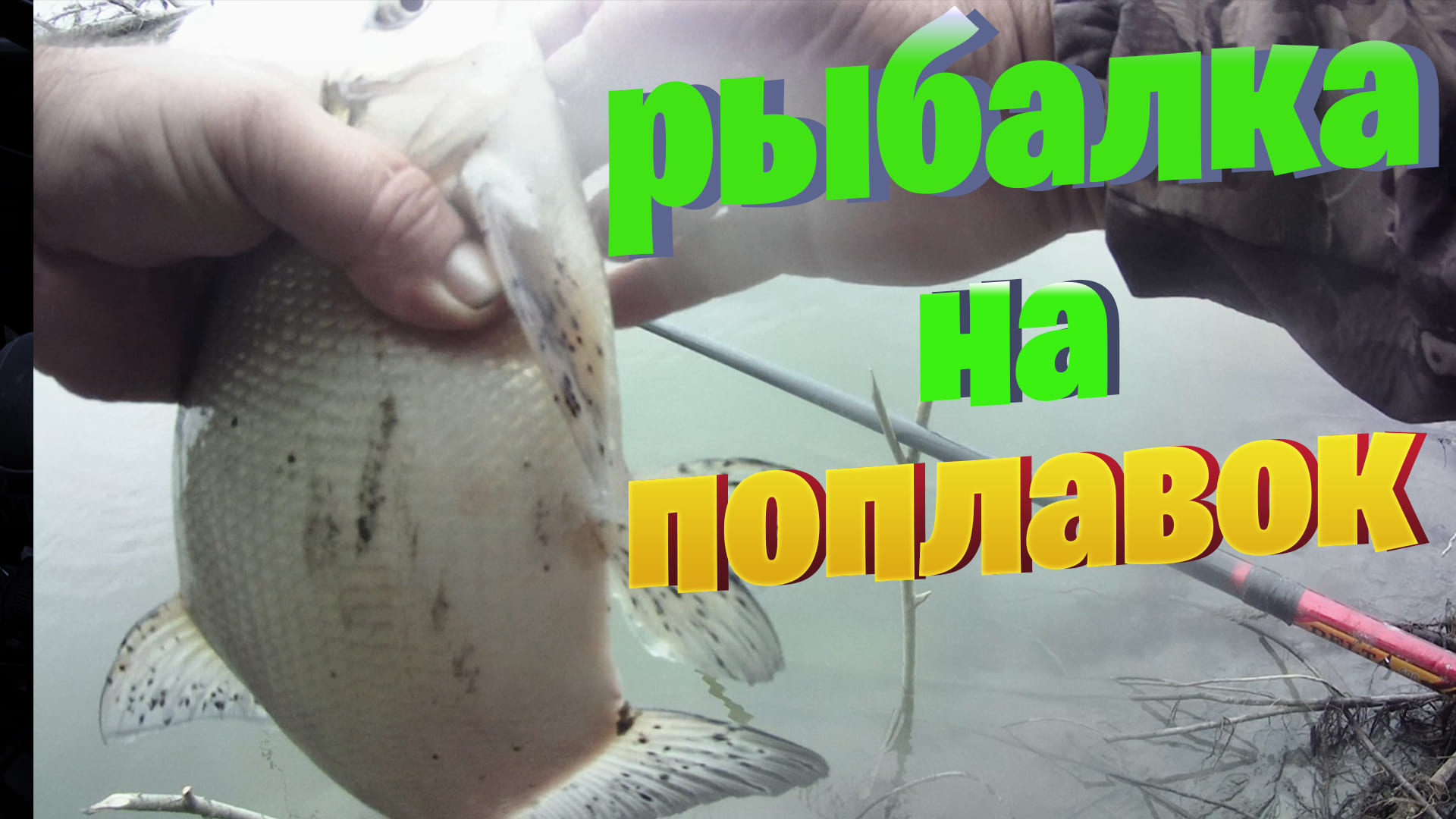 рыбалка на поплавок смотреть онлайн