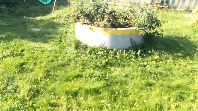 GAZtro tour / деревенское утро / завтрак / доктор не повар / смотреть онлайн