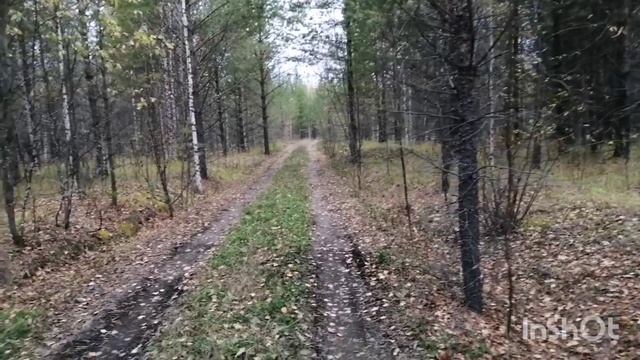 28-29.09.22 Собрали за 2 дня 2 багажника подмороженных грибов-пикник в лесу-панорама нашего разреза. смотреть онлайн