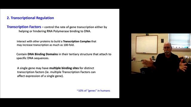 GG Gene Regulation Part 2 смотреть онлайн