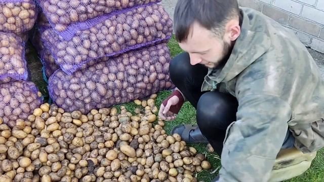 Бизнес по белорусски . Жизнь картошка смотреть онлайн