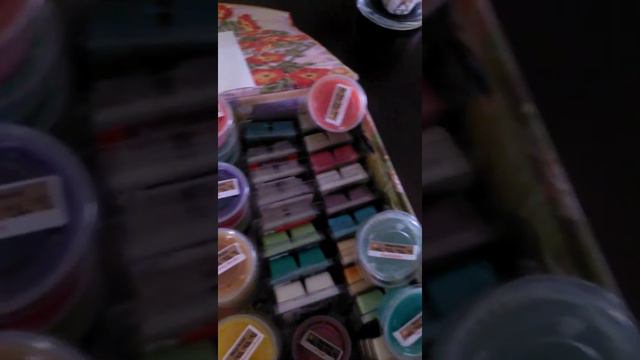 Shayz tarts смотреть онлайн